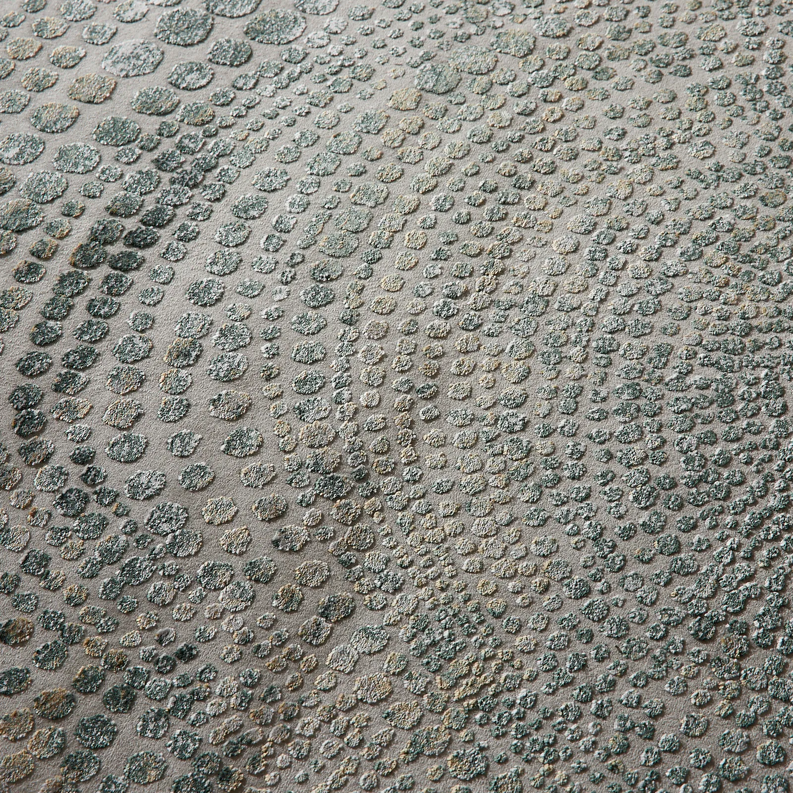 f0c05da3-b407-4d3d-8053-c839770e362c